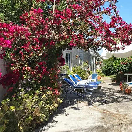 בית נופש Secret Garden - Romantic With Patio And Pool - Privacy *