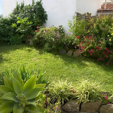 Secret Garden - Romantic With Patio And Pool - Privacy בית נופש Reguengo Grande