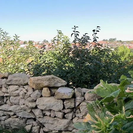 Secret Garden - Romantic With Patio And Pool - Privacy *
