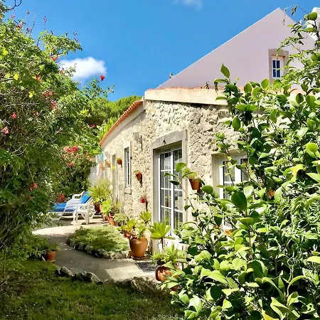 Secret Garden - Romantic With Patio And Pool - Privacy Holiday home